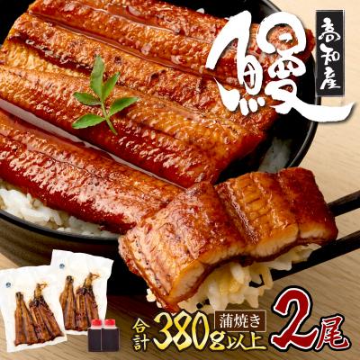ふるさと納税 室戸市 うなぎの蒲焼き2尾 鰻蒲焼 国産 厳選高知県産