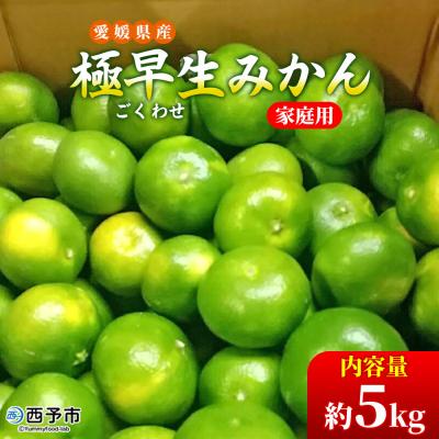 ふるさと納税 西予市 愛媛県西予市産　極早生みかん　5kg | 