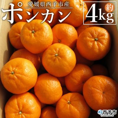 ふるさと納税 西予市 愛媛県西予市産 ポンカン 家庭用4kg