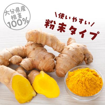 ふるさと納税 大分市 秋ウコン粉末 大分県産 栽培期間中は農薬・化学肥料未使用_F09001 |  | 02