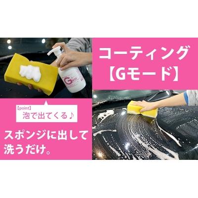 ふるさと納税 大分市 シャンプー\u0026コーティング剤「Gモード」1,000ml\u0026250mlセット_R14133_2