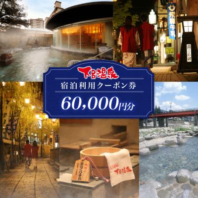 ふるさと納税 下呂市 下呂温泉宿泊利用クーポン券(60,000円分)旅館 ホテル 宿泊券 旅行 6万円分[a001-3]