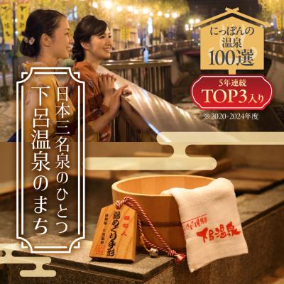 ふるさと納税 下呂市 下呂温泉宿泊利用クーポン券(60,000円分