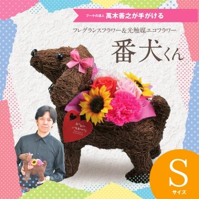 ふるさと納税 笠岡市 フレグランスフラワー&amp;光触媒エコフラワー「番犬くんS」