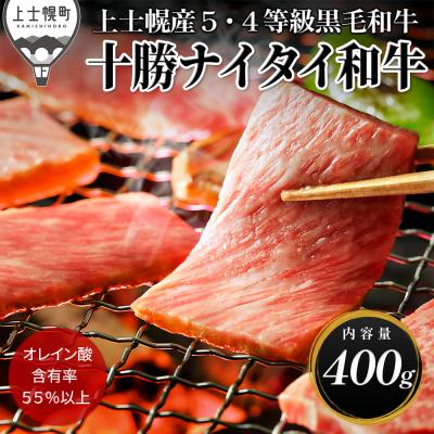 ふるさと納税 上士幌町 十勝ナイタイ和牛 肩ロース焼肉 400g 北海道産 5・4等級黒毛和牛