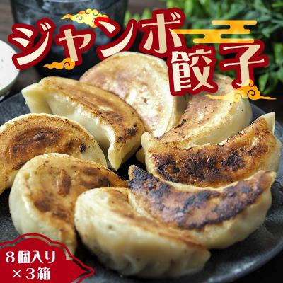 ふるさと納税 吉見町 味のきんせい 手作り餃子8個入り3セット ジャンボギョーザ
