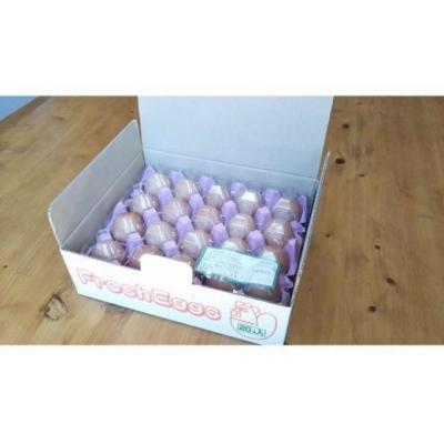 ふるさと納税 飯能市 ≪飯能産≫放し飼いたまご 20個