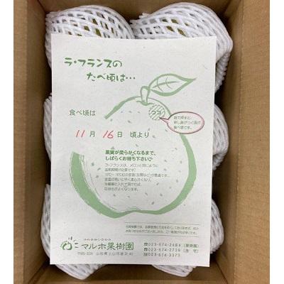 ふるさと納税 上山市 西洋梨(ラ・フランス)3kg　大玉　ご家庭用　0078-2603_1
