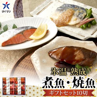 ふるさと納税 米子市 [山陰大松]氷温熟成 煮魚・焼魚ギフトセット10切 IN-100