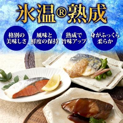 ふるさと納税 米子市 〈山陰大松〉氷温熟成　煮魚・焼魚ギフトセット10切　IN-100_1