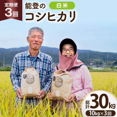 ふるさと納税 宝達志水町 期間限定発送 米 定期便 コシヒカリ 10kg 3回 計 30kg [農家にしの 38601173]