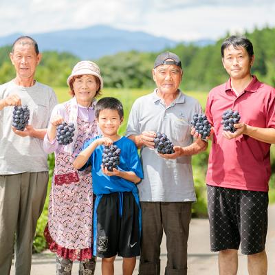 ふるさと納税 高原町 【数量限定】久保ぶどう園の高原町産ニューピオーネ(約2kg)[宮崎県産 3〜4房 湧水]　TF273