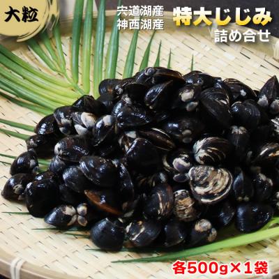 ふるさと納税 出雲市 厳選特大しじみ詰め合わせ【1-029】 | 