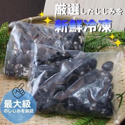 ふるさと納税 出雲市 厳選特大しじみ詰め合わせ【1-029】 |  | 01