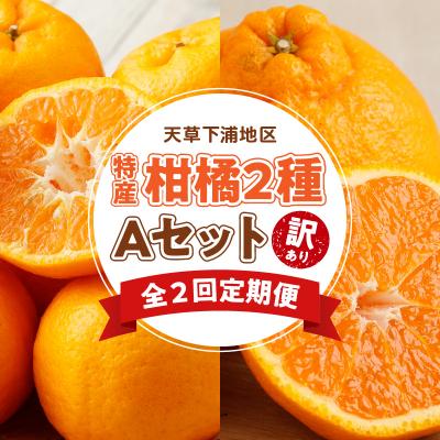 ふるさと納税 天草市 【定期便2回】　天草　下浦特産の柑橘2種Aセット(訳あり)_S040-T05A | 