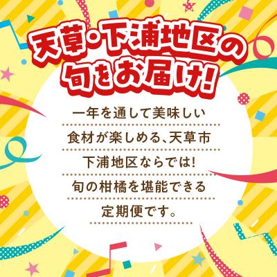 ふるさと納税 天草市 【定期便2回】　天草　下浦特産の柑橘2種Aセット(訳あり)_S040-T05A |  | 01