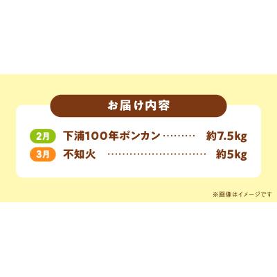 ふるさと納税 天草市 【定期便2回】　天草　下浦特産の柑橘2種Aセット(訳あり)_S040-T05A |  | 02