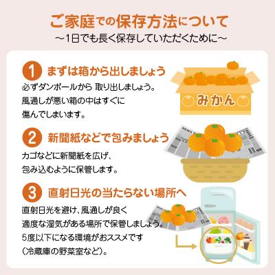 ふるさと納税 天草市 【定期便2回】　天草　下浦特産の柑橘2種Aセット(訳あり)_S040-T05A |  | 03
