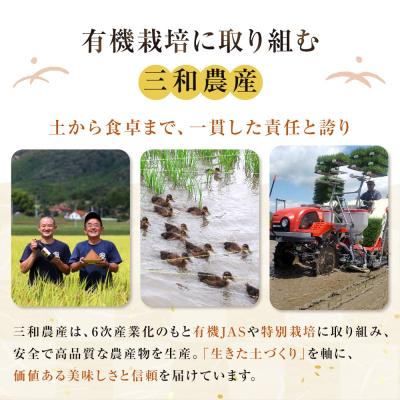 ふるさと納税 出雲市 出雲の有機JAS認証　玄米甘酒250g×6本 |  | 03