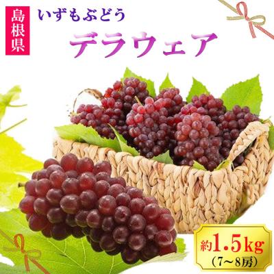 ふるさと納税 出雲市 [2026年6月以降発送]いずもぶどうデラウェア 約1.5kg 7-8房
