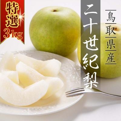 ふるさと納税 八頭町 [2026年発送]二十世紀梨 特選3kg
