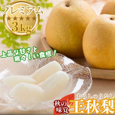 ふるさと納税 八頭町 プレミアム王秋梨 3kg