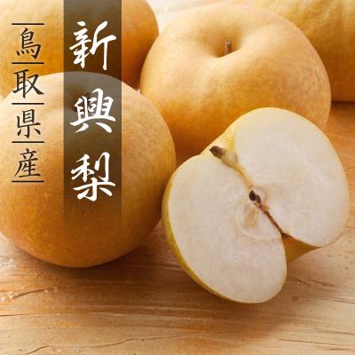 ふるさと納税 八頭町 新興梨(秀) 4kg