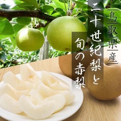 ふるさと納税 八頭町 二十世紀梨と旬の赤梨セット 4kg