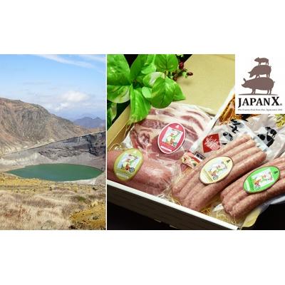 ふるさと納税 蔵王町 宮城蔵王産 JAPAN X ハム・ソーセージ&amp;ホルモンセット/計875g [04301-0045]