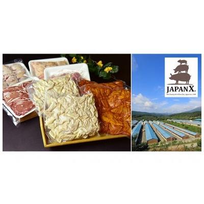 ふるさと納税 蔵王町 JAPAN X ホルモンバラエティセット2.4kg[04301-0070]