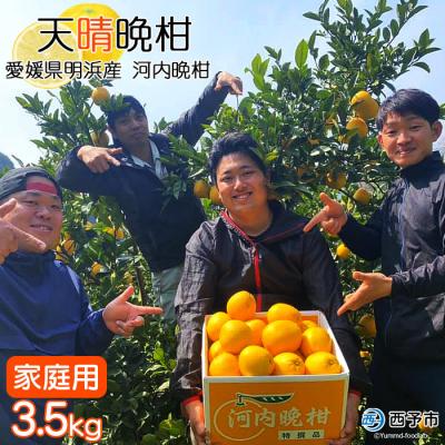 ふるさと納税 西予市 愛媛県明浜産 天晴晩柑(河内晩柑) 3.5kg