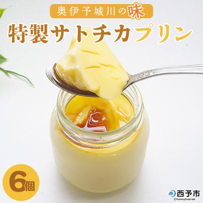 ふるさと納税 西予市 <奥伊予城川の味 特製サトチカプリン(6個セット)> 卵 ぷりん 限定 スイーツ お菓子