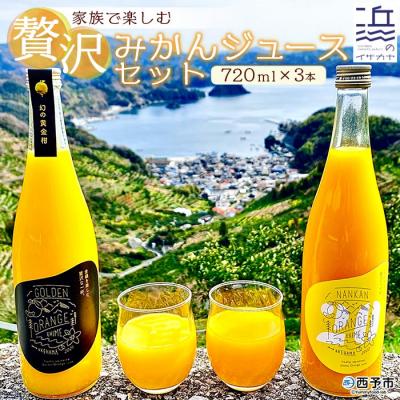ふるさと納税 西予市 <家族で楽しむ贅沢みかんジュース 3本セット(愛媛県西予市明浜産)> 柑橘 フルーツ 飲料