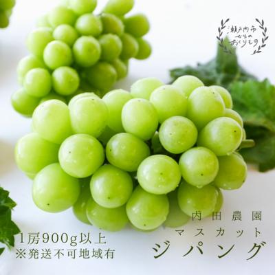 ふるさと納税 瀬戸内市 [先行受付]マスカット・ジパング 1房(900g以上)岡山県産 