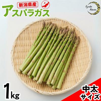 ふるさと納税 三条市 先行受付アスパラガス 太目(LA) 約1kg[2026年5月頃から順次発送予定]
