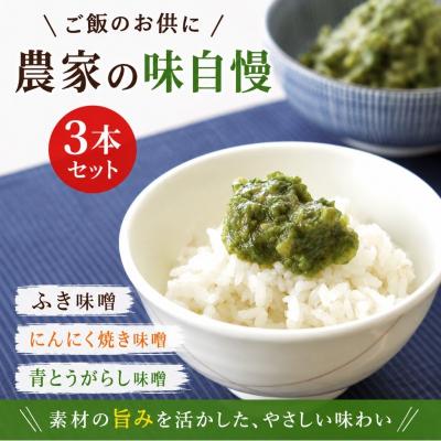 ふるさと納税 小川村 小川の庄 農家の味自慢3本詰合せ*231