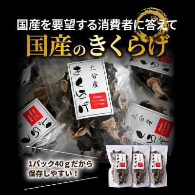 ふるさと納税 国東市 国東産の肉厚干し椎茸(冬〓 どんこ)&乾燥きくらげ_29060A_2