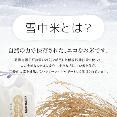 ふるさと納税 沼田町 令和8年産 特Aランク米 ゆめぴりか 玄米 10kg(5kg×2袋)【6月発送】 nr-1644 |  | 01