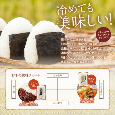 ふるさと納税 沼田町 令和8年産 特Aランク米 ゆめぴりか 玄米 10kg(5kg×2袋)【6月発送】 nr-3052 |  | 03