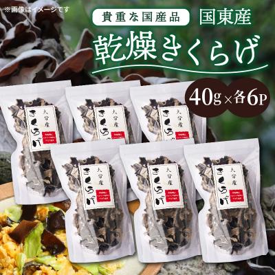ふるさと納税 国東市 貴重な国産品です!国東産乾燥きくらげ_29059A | 