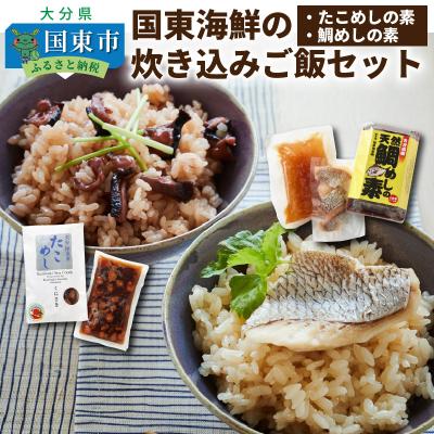 ふるさと納税 国東市 国東海鮮の炊き込みご飯セット「たこめし&amp;鯛めしの素」_29078A