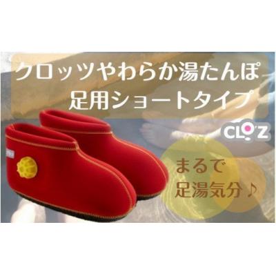 ふるさと納税 国東市 クロッツやわらか湯たんぽ/足用ショートタイプ