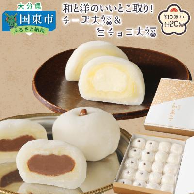 ふるさと納税 国東市 和と洋のいいとこ取り!チーズ大福&amp;生チョコ大福(計20個)_29234A