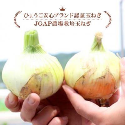 ふるさと納税 南あわじ市 淡路島産新玉ねぎ うずしお甘玉ねぎ 5kg ◆配送2月下旬〜6月下旬の画像
