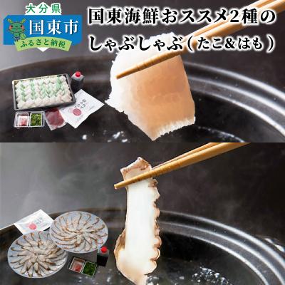 ふるさと納税 国東市 国東海鮮おススメ2種のしゃぶしゃぶ「たこ&amp;はも」_29012B