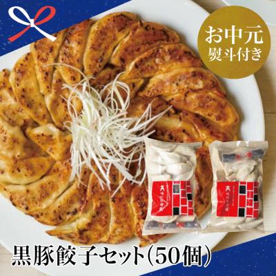ふるさと納税 南さつま市 [お中元ギフト]鹿児島県産 手作り本格黒豚餃子 50個 (25個×2P)