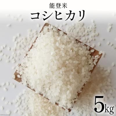 ふるさと納税 宝達志水町 米 令和7年 能登米 コシヒカリ 精米 5kg [みどりの波 石川県 宝達志水町 38601256]