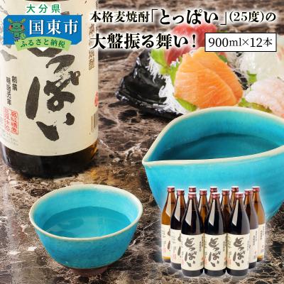 ふるさと納税 国東市 本格麦焼酎「とっぱい」の大盤振る舞い!_29006C