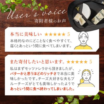 ふるさと納税 東御市 アトリエ・ド・フロマージュ4種のチーズセット カマンベール・硬質・ブルー・モッツァレラ |  | 02