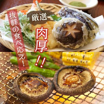 ふるさと納税 国東市 肉厚干し椎茸と本当においしい椎茸佃煮の詰合せ_1165R_2